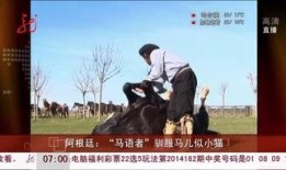 马语者在线观看免费